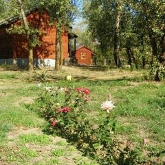 База отдыха Золотая Дельта, Ахтубинский район, Астраханская область