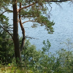 Туристический комплекс Киногородок, Бологовский район, Тверская область