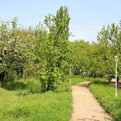 База отдыха Домнареке, Красноярский район, Астраханская область