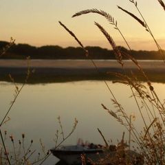 База отдыха Золотая Дельта, Ахтубинский район, Астраханская область