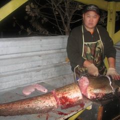 Рыболовная база Место встречи, Харабалинский район, Астраханская область