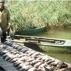 База отдыха Волга-Парт, Астраханская область