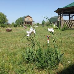 База отдыха Русская усадьба, Лиманский район, Астраханская область