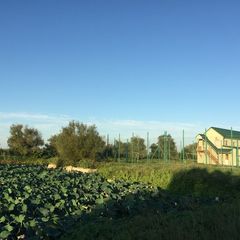 Рыболовно-охотничья база Блесна, Володарский район, Астраханская область