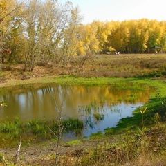 База отдыха Белые холмы, Ахтубинский район, Астраханская область