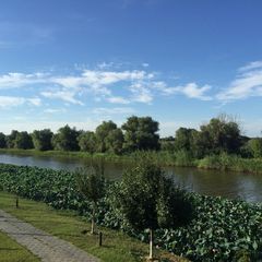 Рыболовно-охотничья база Блесна, Володарский район, Астраханская область