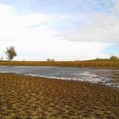 База отдыха Белые холмы, Ахтубинский район, Астраханская область