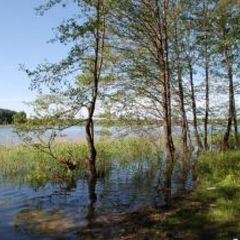 Рыболовная база Место встречи, Харабалинский район, Астраханская область