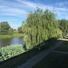 Рыболовно-охотничья база Блесна, Володарский район, Астраханская область