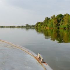 Турбаза Алимовский плес, Харабалинский район, Астраханская область