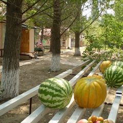 База отдыха Энергетик, Красноярский район, Астраханская область