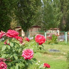 База отдыха Энергетик, Красноярский район, Астраханская область