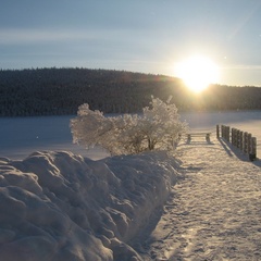 База отдыха Зеленый Берег, Мурманск, Мурманская область