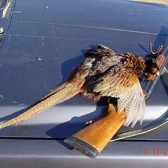 Рыболовная база Место встречи, Харабалинский район, Астраханская область