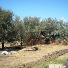 База отдыха Имение Черновых, Харабалинский район, Астраханская область