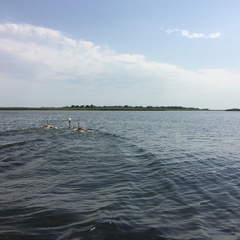 Рыболовная база Лебедь, Камызякский район, Астраханская область