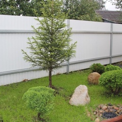 Коттедж Lempi, Петрозаводск, Республика Карелия