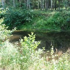 Рыболовная база Место встречи, Харабалинский район, Астраханская область