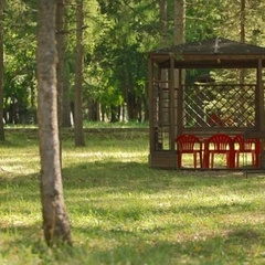 Загородный отель Гелиопарк Лесной, Звенигород, Московская область