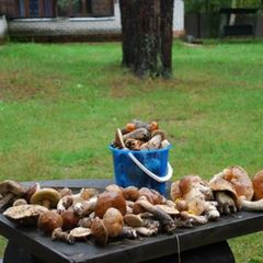 Рыболовная база Место встречи, Харабалинский район, Астраханская область