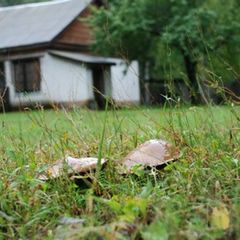 База отдыха Прудки, Клепиковский район, Рязанская область