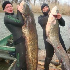 Рыболовная база Волчок, Камызякский район, Астраханская область