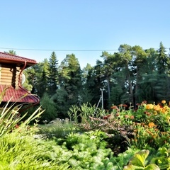 База отдыха Обвинская Фактория, Ильинский район, Пермский край