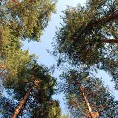 База отдыха Прудки, Клепиковский район, Рязанская область