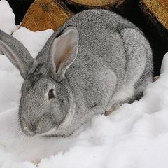 Туристическая база Форт Байкал, Иркутский район, Иркутская область