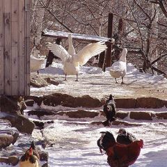 Туристическая база Форт Байкал, Иркутский район, Иркутская область