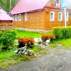 База отдыха Якимиха, Юрьевецкий район, Ивановская область