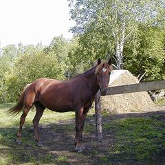 Туристическая база Форт Байкал, Иркутский район, Иркутская область