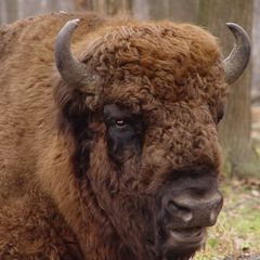 База отдыха Ни-Ки-Та, Спасский район, Рязанская область