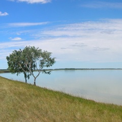 Оздоровительный комплекс Озеро Горькое, Купинский район, Новосибирская область
