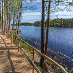 База семейного отдыха Илоранта, Выборгский район, Ленинградская область