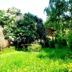 База отдыха Якимиха, Юрьевецкий район, Ивановская область