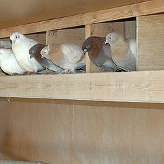 Туристическая база Форт Байкал, Иркутский район, Иркутская область