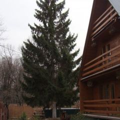 База отдыха Альбатрос, Бор, Нижегородская область