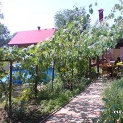 База отдыха Альбатрос, Бор, Нижегородская область