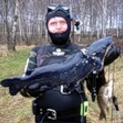 Гостевой дом Дубрава, Рославльский район, Смоленская область