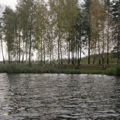 Гостевой дом Дубрава, Рославльский район, Смоленская область