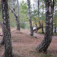 Гостевой дом Дубрава, Рославльский район, Смоленская область