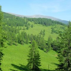 База отдыха Алан-Коо, гордо Горно-Алтайск, Республика Алтай