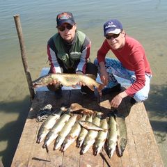 Гостевой дом Дубрава, Рославльский район, Смоленская область