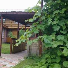 База отдыха Альбатрос, Бор, Нижегородская область