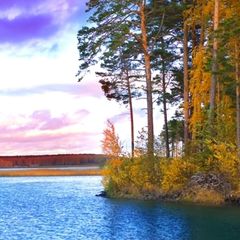 База семейного отдыха Родники, Чебаркульский район, Челябинская область