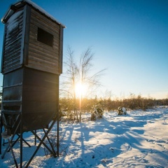 Эко-отель Заозерье, Пушкиногорский район, Псковская область