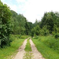 Гостевой дом Лесная поляна, Славский район, Калининградская область