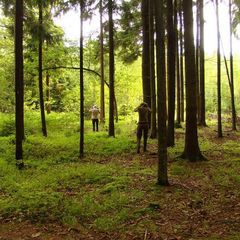 Гостевой дом Лесная поляна, Славский район, Калининградская область