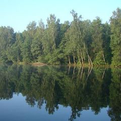 Гостевой дом Лесная поляна, Славский район, Калининградская область